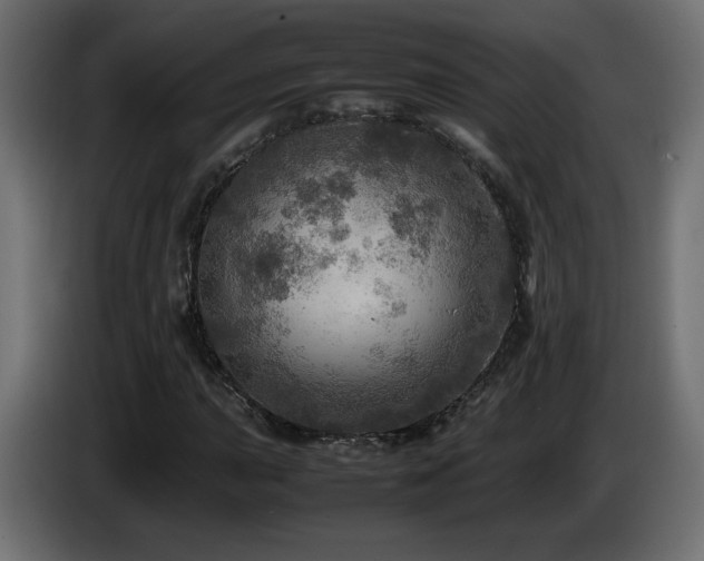 X0000087011015200704161538