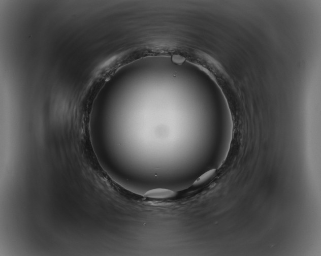 X0000087011016200704161538