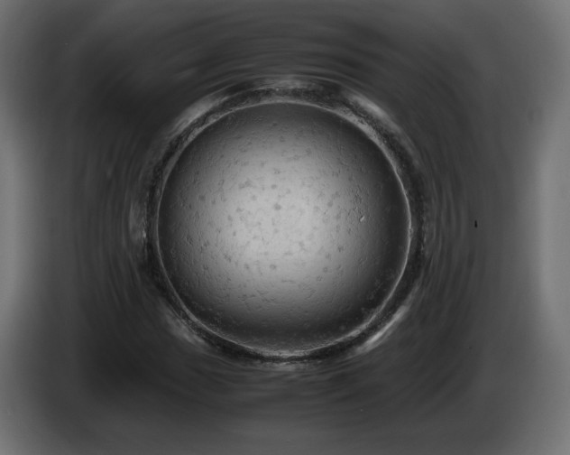X0000087011017200704161538