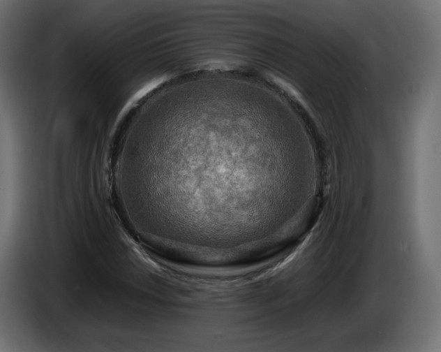 X0000087011018200704161538