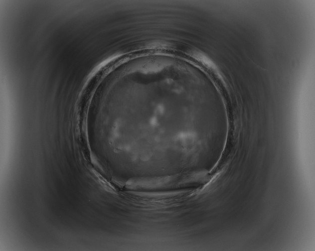 X0000087011019200704161538
