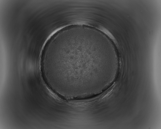 X0000087011020200704161538