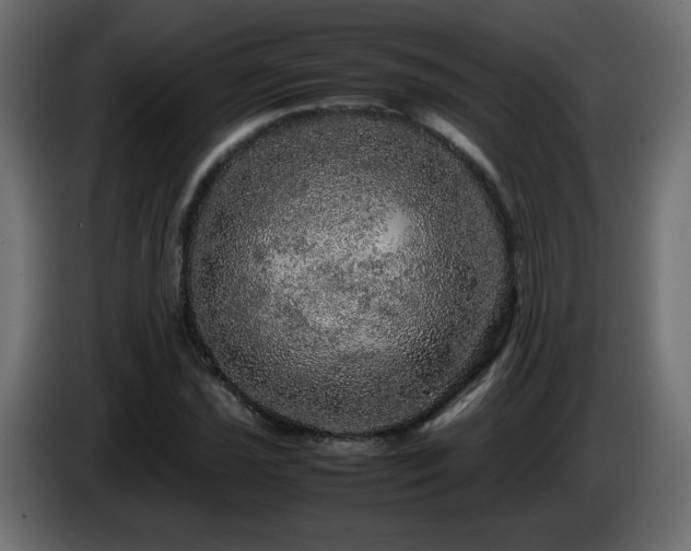 X0000087011021200704161538