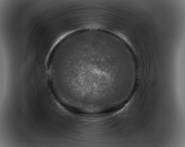 X0000087011022200704161538