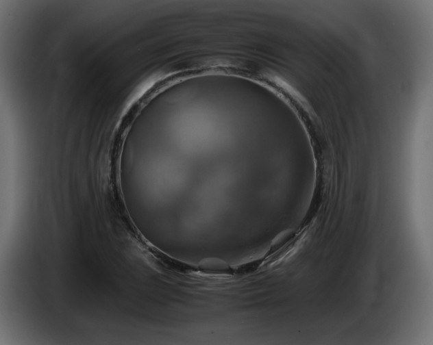 X0000087011023200704161538
