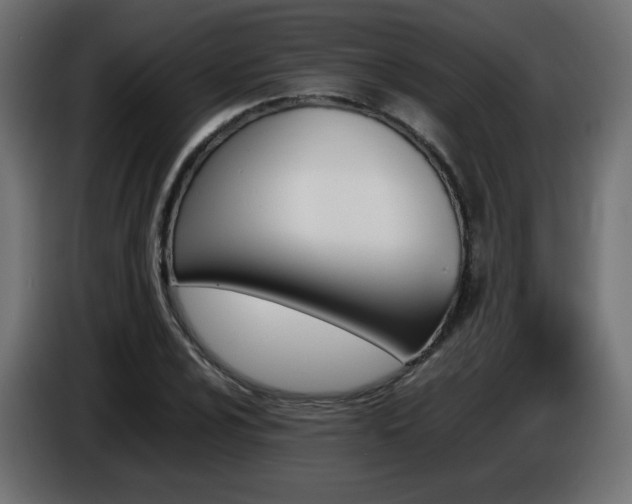 X0000087011024200704161538
