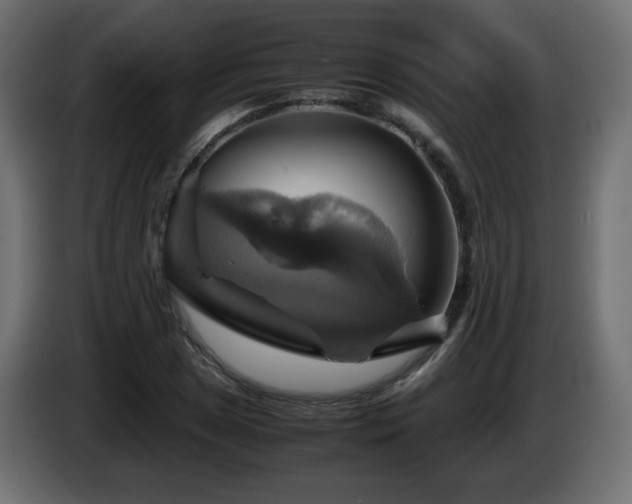 X0000087011025200704161538