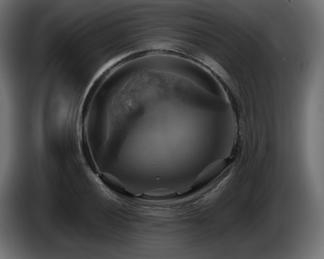 X0000087011028200704161538