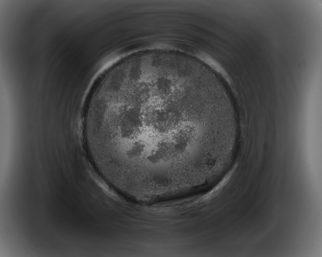 X0000087011029200704161538