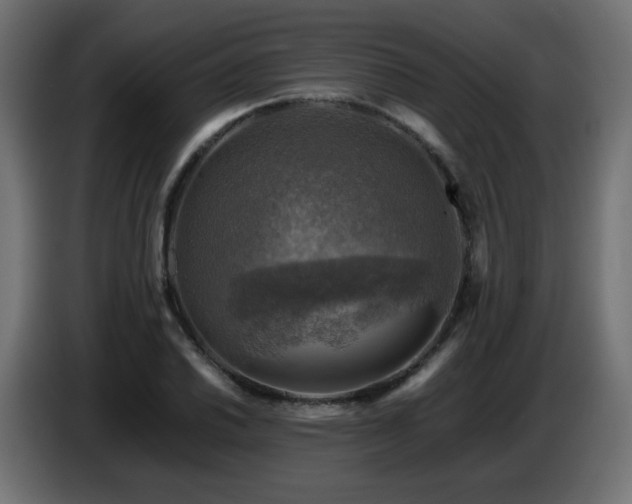 X0000087011030200704161538