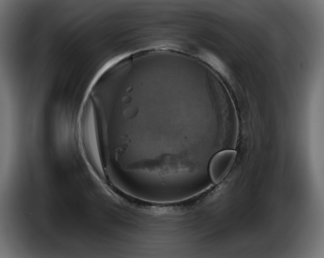 X0000087011032200704161538