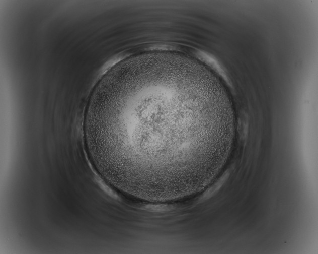 X0000087011033200704161538