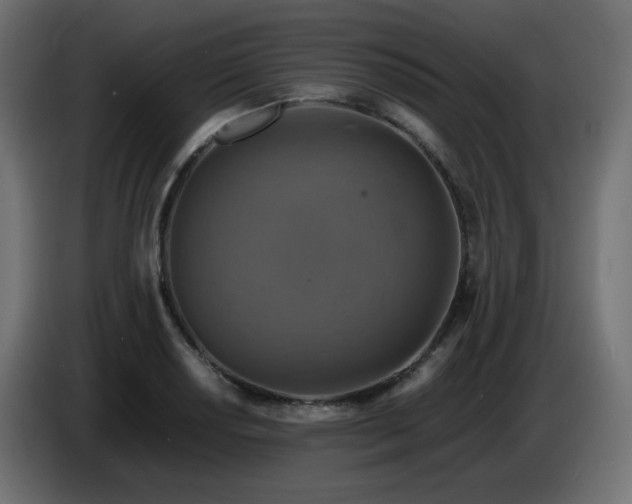 X0000087011034200704161538