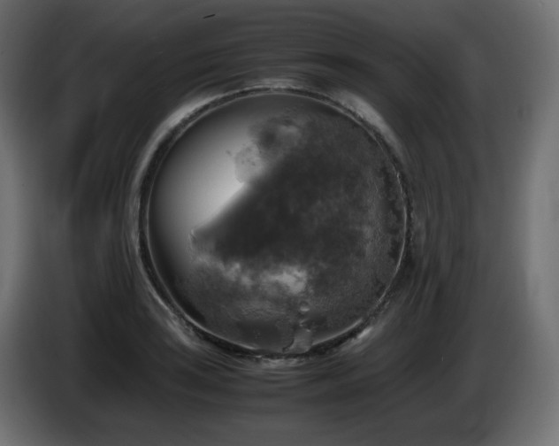 X0000087011035200704161538