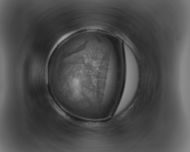 X0000087011036200704161538