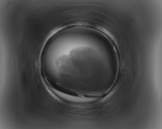 X0000087011037200704161538