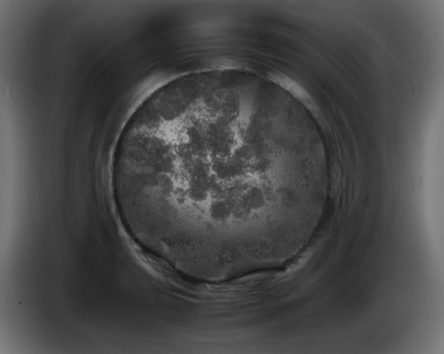 X0000087011039200704161538