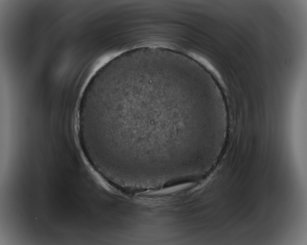 X0000087011040200704161538