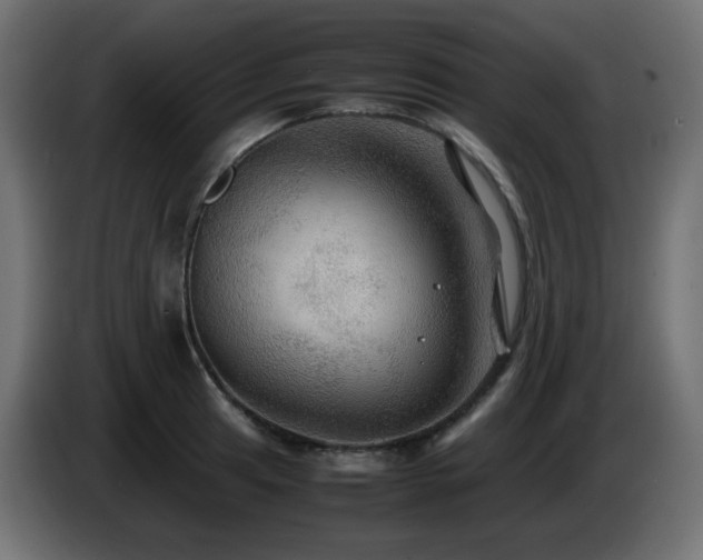 X0000087011041200704161538