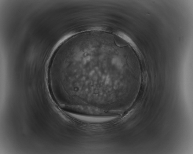 X0000087011043200704161538