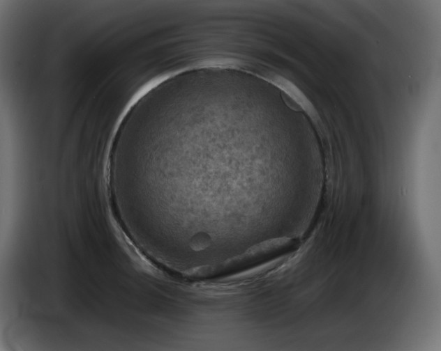 X0000087011044200704161538