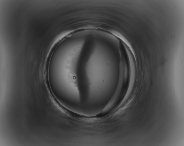 X0000087011045200704161538