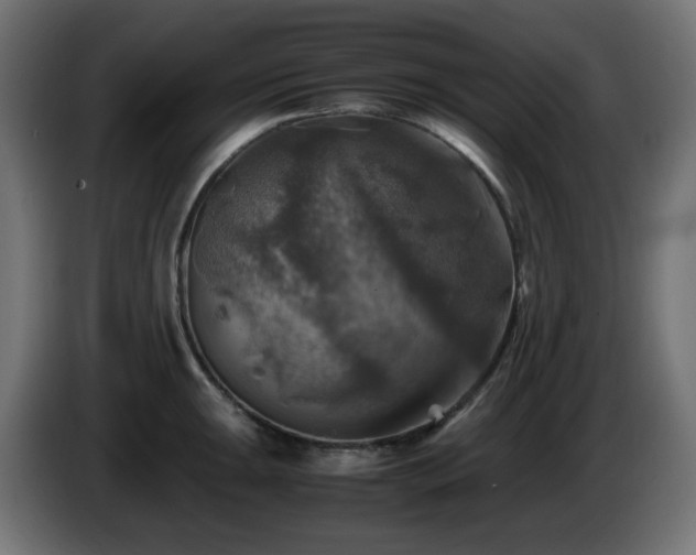 X0000087011047200704161538