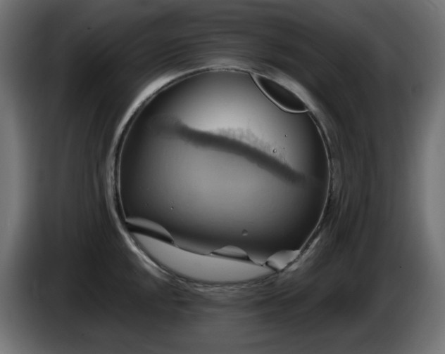 X0000087011048200704161538