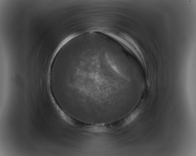 X0000087011050200704161538