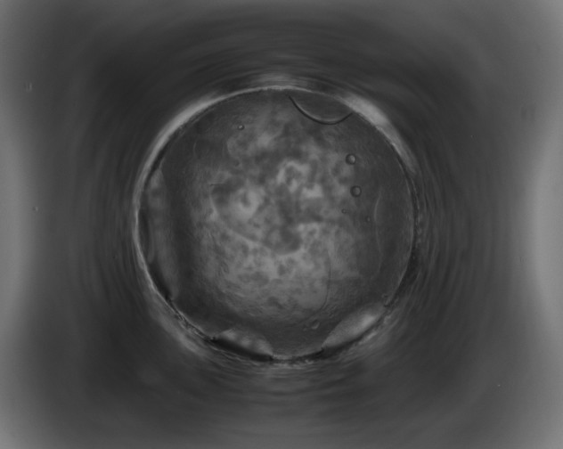 X0000087011051200704161538