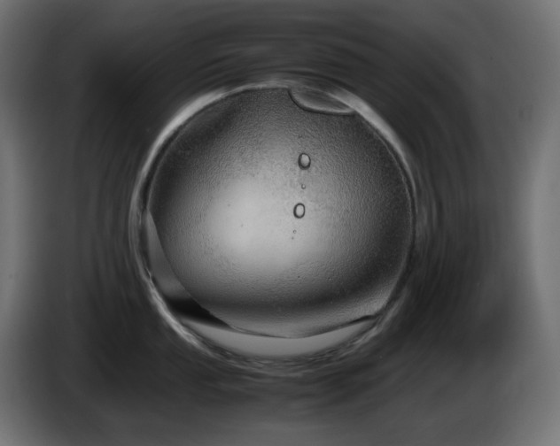 X0000087011053200704161538