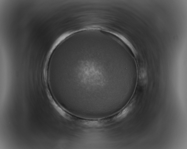 X0000087011054200704161538