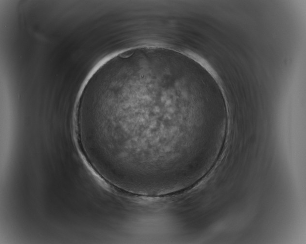 X0000087011056200704161538