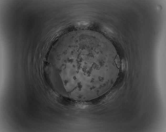 X0000087011059200704161538