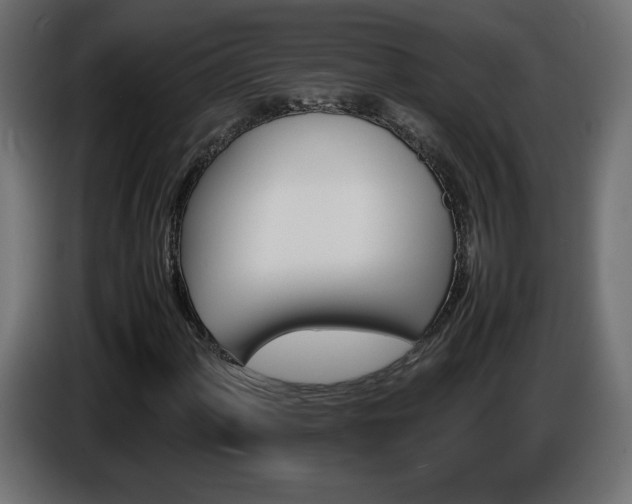 X0000087011060200704161538