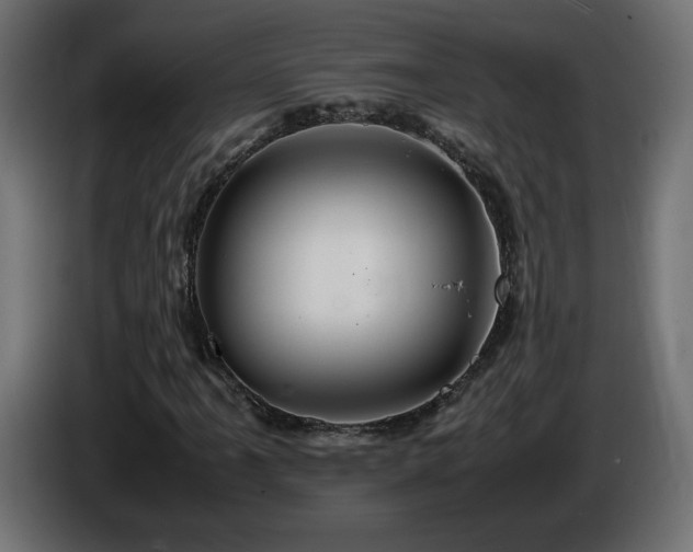 X0000087011061200704161538