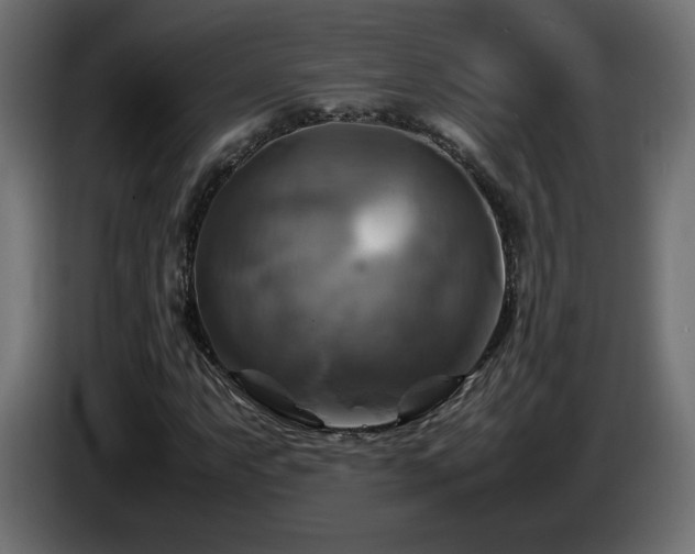 X0000087011063200704161538