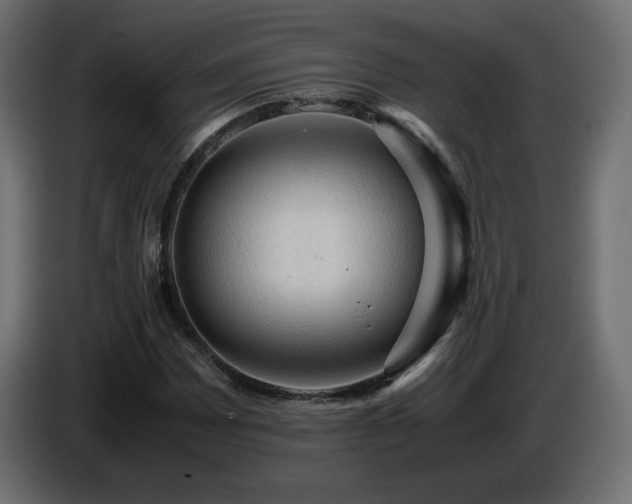 X0000087011065200704161538