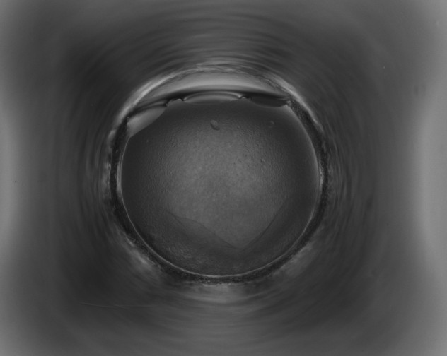 X0000087011066200704161538