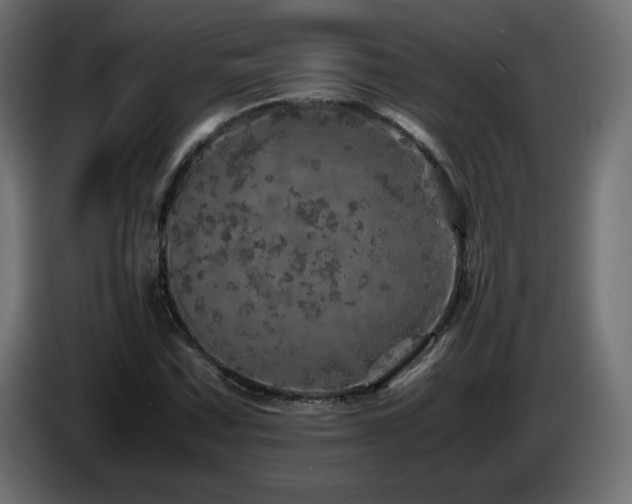 X0000087011067200704161538