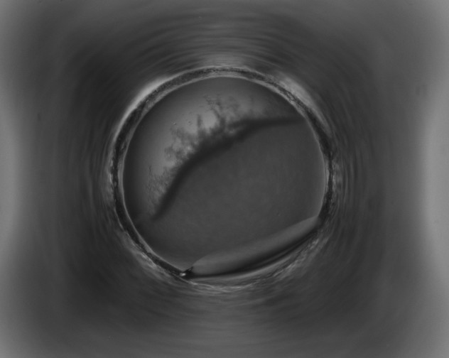 X0000087011068200704161538