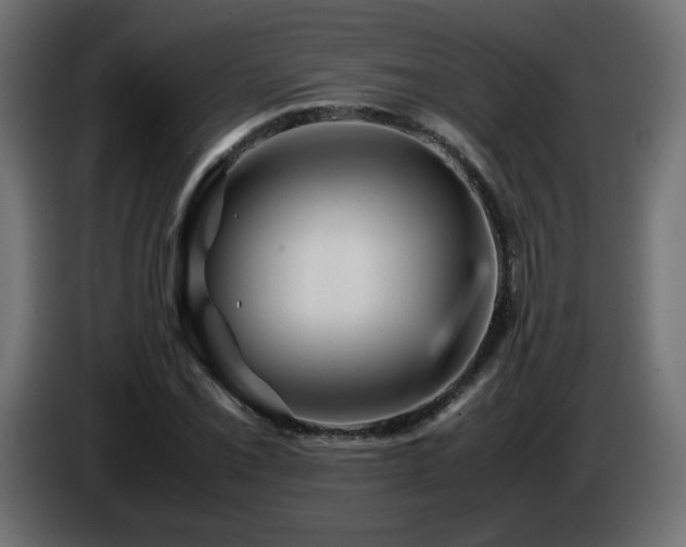 X0000087011069200704161538