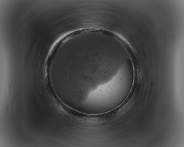X0000087011070200704161538