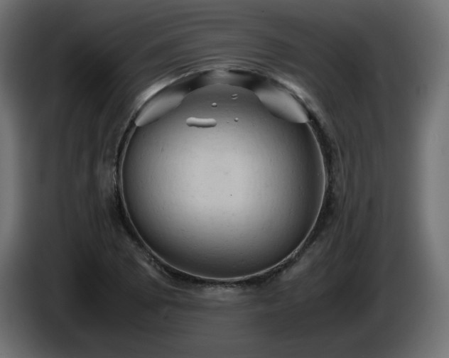 X0000087011073200704161538