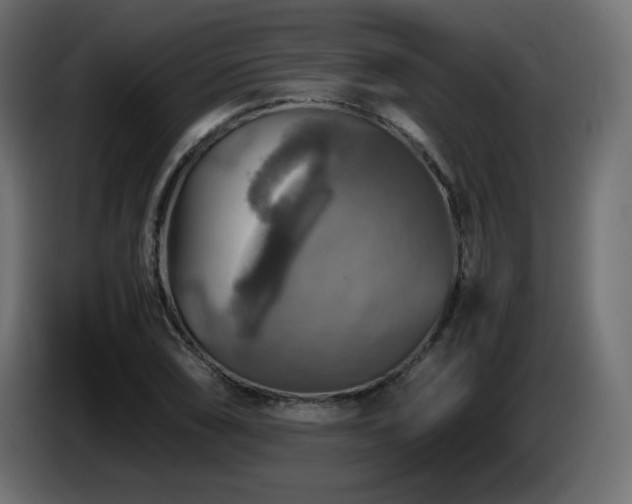 X0000087011074200704161538