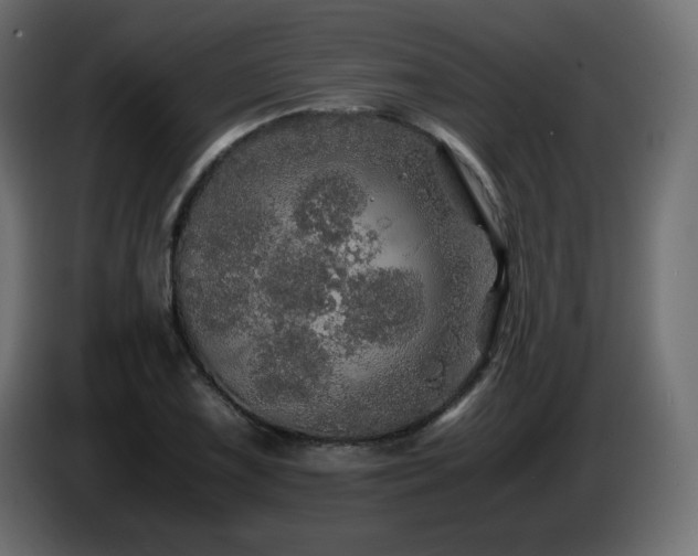 X0000087011075200704161538