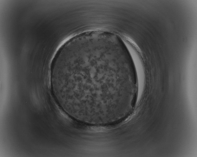 X0000087011079200704161537