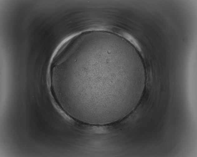 X0000087011080200704161537