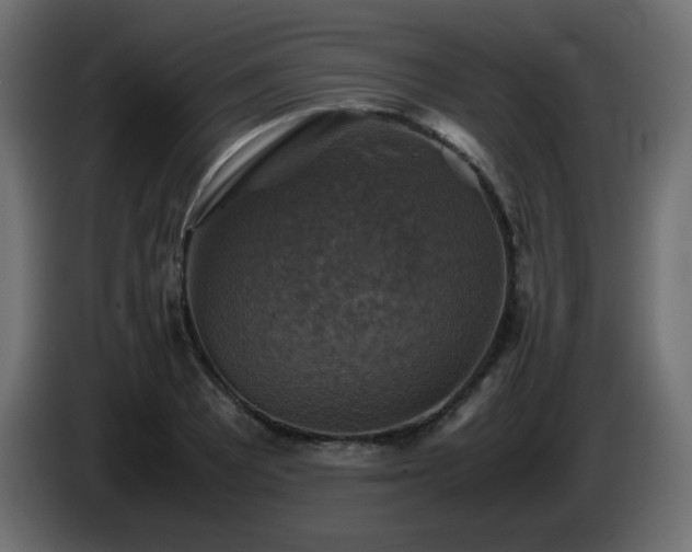X0000087011081200704161537