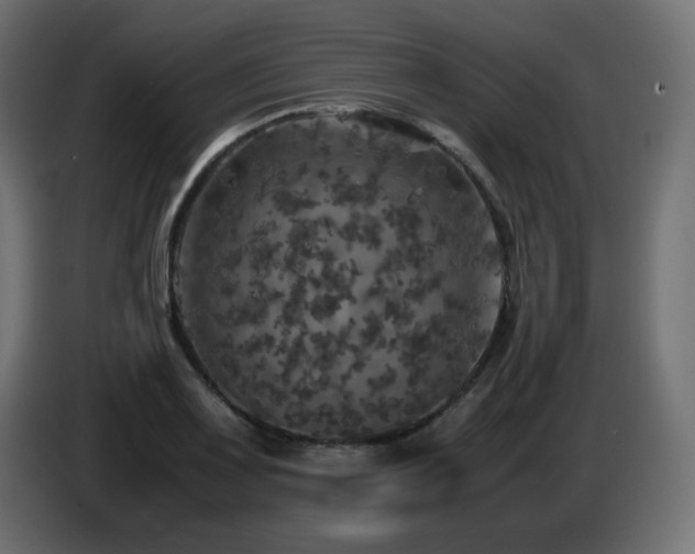 X0000087011083200704161537